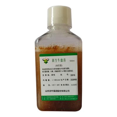 ����ţѪ��