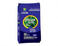 ΢�������