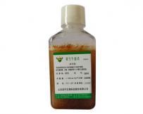 ����Ѫ��