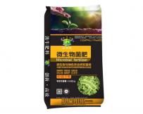 ΢�������