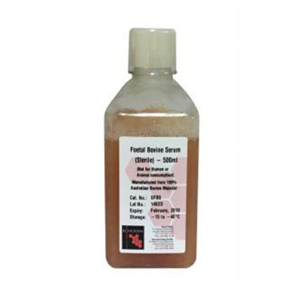 ����̥ţѪ��