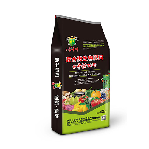 ΢�������