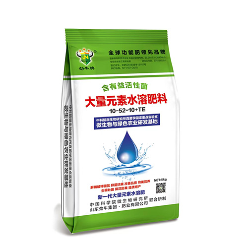 ΢�������