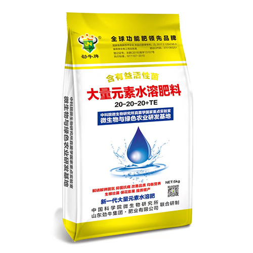 ΢�������