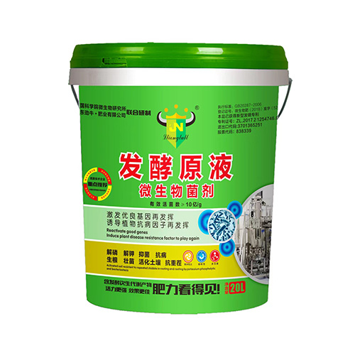 ΢�������