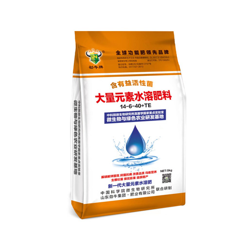 ΢�������