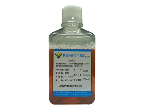 ��������ר��Ѫ��