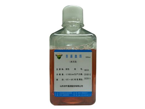 ����Ѫ�峧��