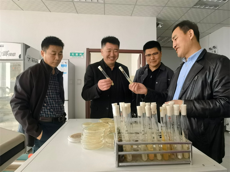 ������ͬ���