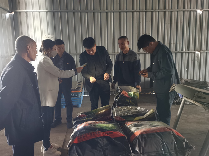 �����ֳ����������