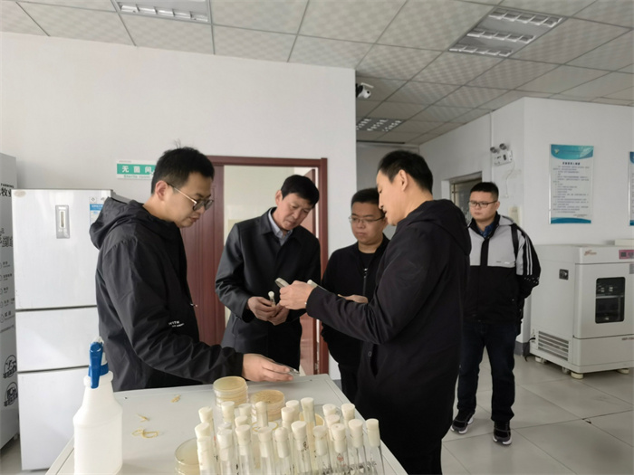 ������AG������918����԰���п�Ժ΢�����о���AG������918ʵ����